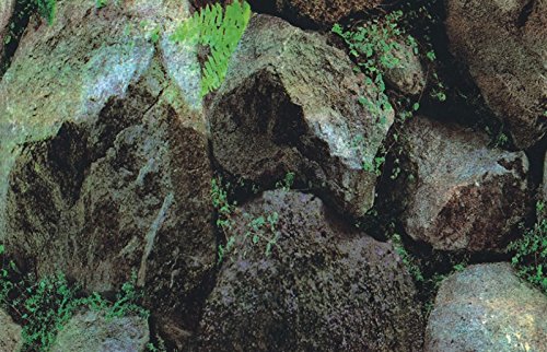 Marty KB05 1112 Beidseitige Tapete - Pflanzen/Felsen, 49 cm von Marty
