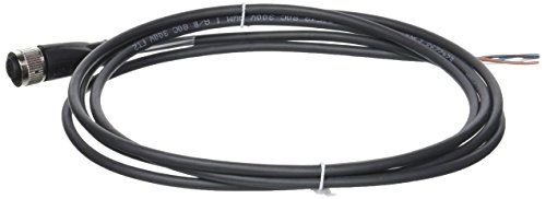 Modell v1-g-bk2 m-pur-u weiblich Modell v1-g-bk2 m-pur-u weiblich von Pepperl+Fuchs