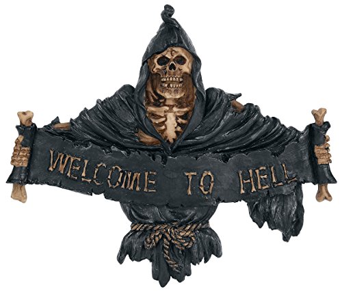 Nemesis Now NEM3944 Schild Welcome to Hell, 22 cm, Schwarz von Nemesis Now