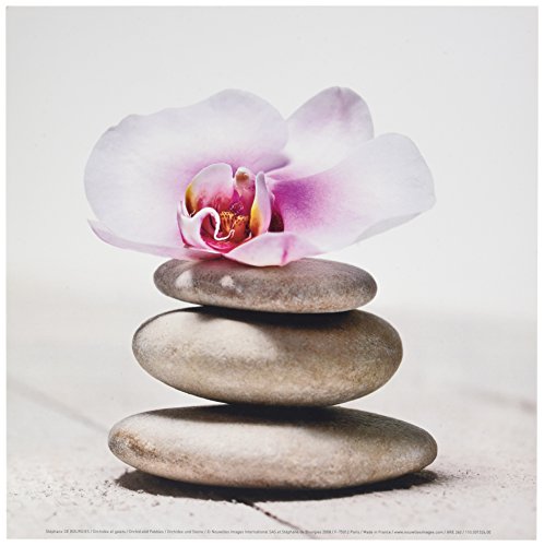 NOUVELLES IMAGES Neue imagesaffiche 30 x 30 cm Orchidee und Kieselsteine/Orchid and Pebbles/Orchidee und Steine von NOUVELLES IMAGES