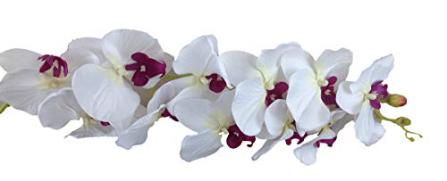 Unbekannt Orchideenzweig 122 cm XXL weiß Rose Seidenblumen Kunstblumen künstliche Orchidee wie echt von Unbekannt