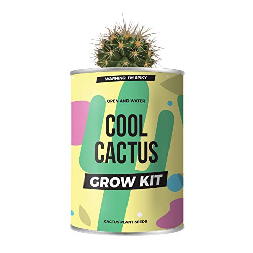 Pflanzen aus der Dose - Geschenkset (Kaktus) von GR Gift Republic