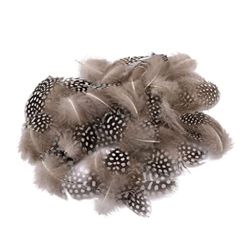 Set 50 Feder von Hahn Ornament Couture Décor Kleidung Haarband Tasche Schmuck DIY 5 – 10 cm, natur von Unbekannt