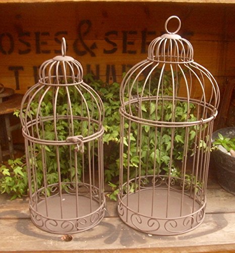 Unbekannt 2er Set DEKOKÄFIG VOGELKÄFIG PFLANZKÄFIG ANTIK LANDHAUSSTIL Metall GARTENDEKO von Unbekannt