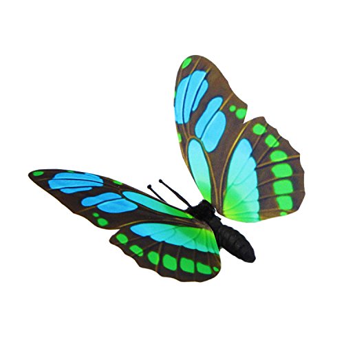 Unbekannt 3D Schmetterlinge Magnet Wanddeko Wandtattoo Auswahl von Diawell