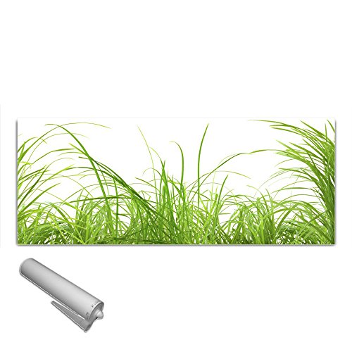 Unbekannt DEKOGLAS Küchenrückwand Glas 'Gras' Herdblende aus Sicherheitsglas (ESG) 125x50 cm Spritzschutz Fliesenspiegel von Unbekannt