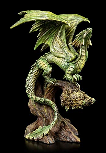 Unbekannt Drachen Fantasy Figur - Adult Forest Dragon, Motiv von Anne Stokes | Fantastische Kreatur und Gothic Dekofigur, handbemalt, inkl. Geschenkbox, H 26 cm von Unbekannt