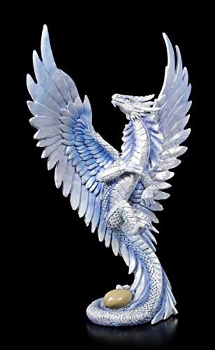 Unbekannt Drachen Fantasy Figur - Adult Wind Dragon, Motiv von Anne Stokes | Fantastische Kreatur und Gothic Dekofigur, handbemalt, inkl. Geschenkbox, H 31 cm von Unbekannt