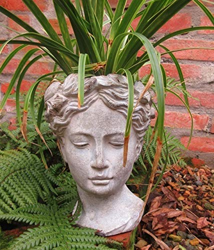 Unbekannt Garten BÜSTE Statue Frau Figur PFLANZTOPF BLUMENTOPF LANDHAUSSTIL Kopf PFLANZKOPF DR-1224gr Unbekannt Garten BÜSTE Statue Frau Figur PFLANZTOPF BLUMENTOPF LANDHAUSSTIL Kopf PFLANZKOPF DR-1224gr von Unbekannt