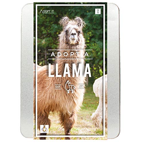 Gift Republic GR100051 Adopt a Lama-Set, Mehrfarbig von GR Gift Republic