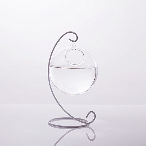 Unbekannt Kugel Vase Glas Transparent 10 cm + Eisen Halterung 23 cm Höhe Deko für Haus Garten Unbekannt Kugel Vase Glas Transparent 10 cm + Eisen Halterung 23 cm Höhe Deko für Haus Garten von Unbekannt