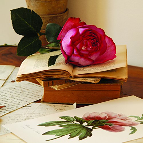 NOUVELLES IMAGES Neue imagesaffiche 30 x 30 cm rosa auf Bücher/Rosa auf schön/Pink on Books von NOUVELLES IMAGES