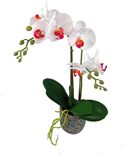 Orchideen LN27-3 künstliche Orchidee 45 cm Hoch mit Topf Pflanze Kunstblume Latex Blumen Kunstblumen künstliche Orchidee wie echt von GMMH