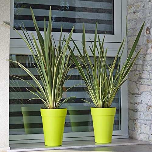 Unbekannt Pflanzkübel Liken apfelgrün D 34 x H 46 cm Unbekannt Pflanzkübel Liken apfelgrün D 34 x H 46 cm von Unbekannt