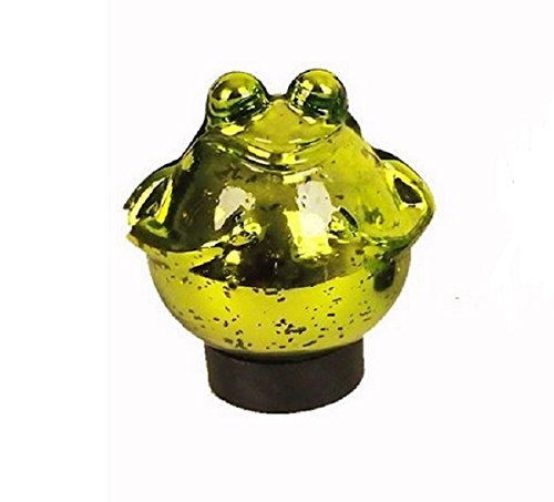 Unbekannt Schwimmfrosch grün glänzend mittel von Unbekannt