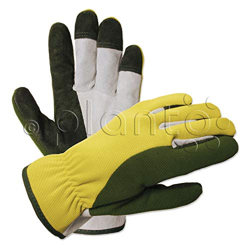 planto Leder-Gartenhandschuhe Flex, Gr. 8, Profi Arbeitshandschuhe aus bestem Rindsleder, Thornproof Gloves (3 Paar) von planto