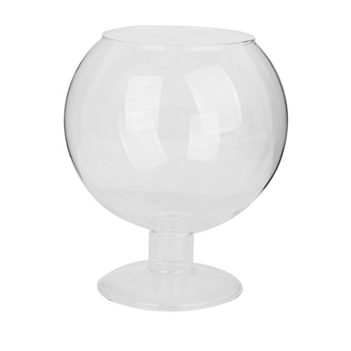 Weinglas Geformt Transparente Glasflasche Vase für Pflanze Blume Dekoration von Unbekannt
