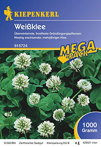 Weißklee - 1 kg Gründünger Mega-Pack von Unbekannt
