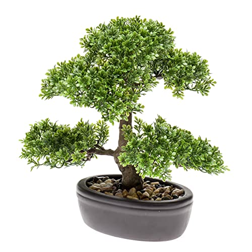 künstlicher Bonsai in brauner ovaler Keramikschale (32 cm, Ficus) von Unbekannt