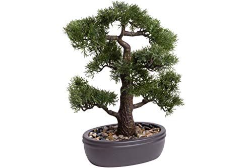 künstlicher Bonsai in brauner ovaler Keramikschale (45 cm, Ceder) von Unbekannt