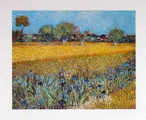 van Gogh Arles les Irises, Poster 60 x 50 cm von Unbekannt