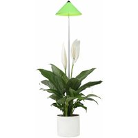 Parus by Venso SUNLiTE 7W led Vollspektrum Pflanzenlampe Grün, Indoor Plants Pflanzen Beleuchtung, mit ausziehbarem Teleskopstab, Parus Pflanzenlampe von Unbranded