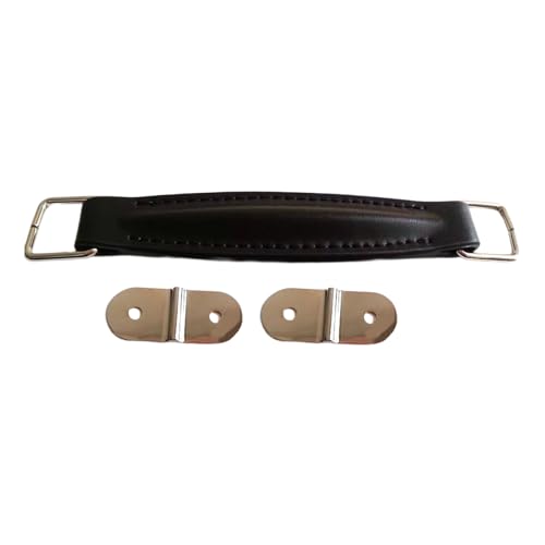 Ledergitarrenverstärker Interne Stahlverstärkungslautsprecher Gitarrenhülle Ersatz Für AS50DC/AS100D Lederverstärker von UncleS