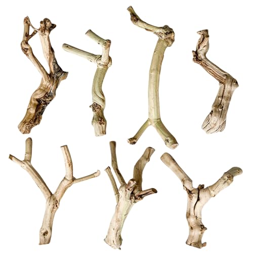 UncleS Holzhöhle Driftwood Natürliche Ästhetische Dekoration Für Reptilien Natürliche Baumlebensräume Reptilien Klettern UncleS Holzhöhle Driftwood Natürliche Ästhetische Dekoration Für Reptilien Natürliche Baumlebensräume Reptilien Klettern von UncleS