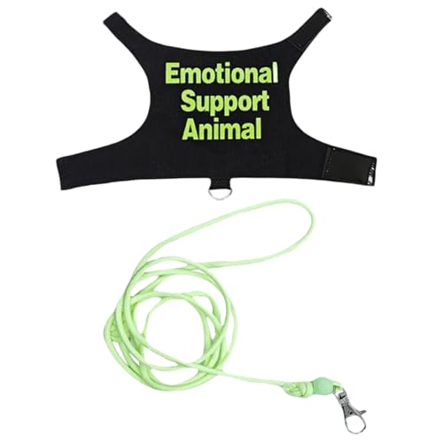 UncleS Weiche Leinwand Eidechsen Gäste Set Outdoor Training Weiches Seilkletterseilgürtel Für Kleine Tiere Regulierbare Haustiergurte von UncleS