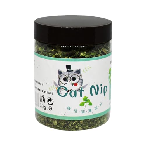 Fresh Catnip Plant, Natural Cat Attractant, Kitten Calming Treat with Interactive and Fun Enrichment Design for Calming, Entertaining, or Stimulating Pets, 1 Piece von Ungtyb