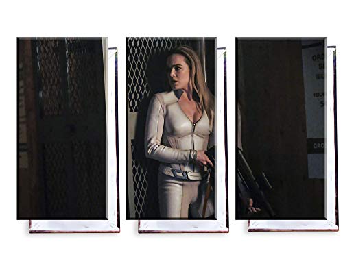 Unified Distribution Arrow - Sara Lance - Caity Lotz - Dreiteiler (120x80 cm) - Bilder & Kunstdrucke fertig auf Leinwand aufgespannt und in erstklassiger Druckqualität von Unified Distribution