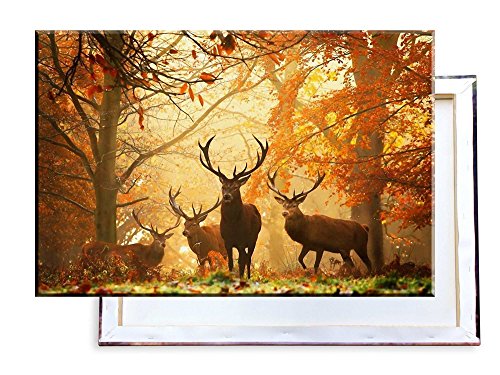 Unified Distribution Hirsche im Herbstwald - 120x80 cm - Bilder & Kunstdrucke fertig auf Leinwand aufgespannt und in erstklassiger Druckqualität von Unified Distribution