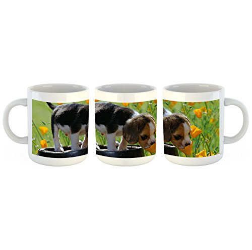 Unified Distribution Hundewelpen schnuppert an Blume - Tasse mit Motiv Bedruckt, 300ml C-Henkel. Tolles Geschenk für Büro, Küche, Geburtstag, Lieblingstasse zum Frühstück von Unified Distribution