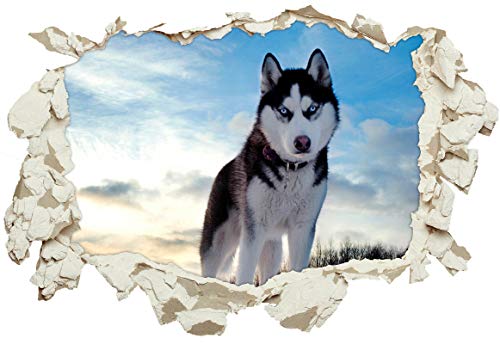 Unified Distribution Husky Hund Schnee - Wandtattoo mit 3D Effekt, Aufkleber für Wände und Türen Größe: 92x61 cm, Stil: Durchbruch von Unified Distribution