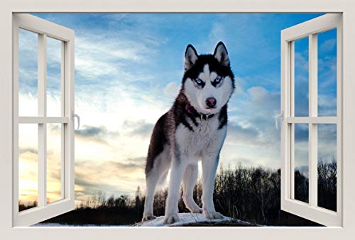 Unified Distribution Husky Hund Schnee - Wandtattoo mit 3D Effekt, Aufkleber für Wände und Türen Größe: 92x61 cm, Stil: Fenster von Unified Distribution