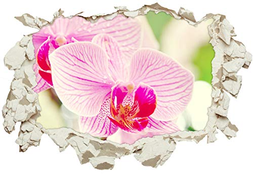 Unified Distribution Pinke Schöne Orchideen - Wandtattoo mit 3D Effekt, Aufkleber für Wände und Türen Größe: 92x61 cm, Stil: Durchbruch von Unified Distribution