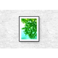 Baum/Spiegelung Fotodruck Kunstdruck Über Einen Teich von UninventedColors