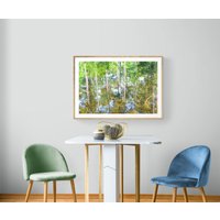 Bayou Tree Reflection Fotografie Mississippi Coast Nature Art von UninventedColors