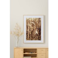Sepia Wildblumen Foto Neutral Beige Braun Wandkunst von UninventedColors