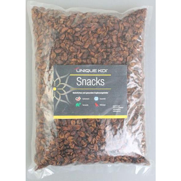 Unique Koi Seidenraupen Tüte 5000 ml Unique Koi Seidenraupen Tüte 5000 ml von Unique Koi