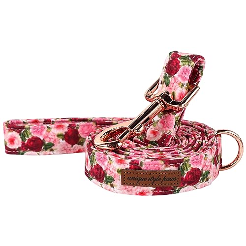 Unique style paws Blume Hundeleine Match Rot Rosa Pfingstrose Hundehalsband, Robuste Langlebige Baumwolle Hundeleine, Pfingstrose Hundetraining Leine für Kleine Mittlere Große Hund von Unique style paws