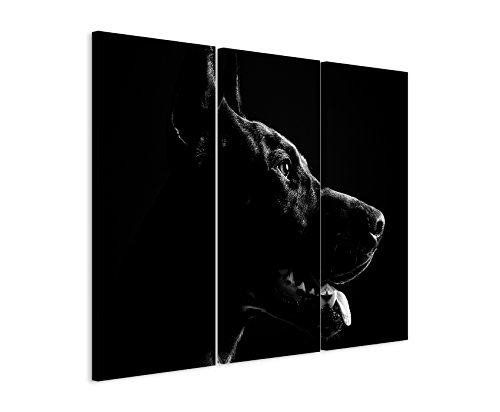 3 teiliges Bild Bilder gesamt 130x90cm Tierbilder – Männlicher Dobermann von Unique