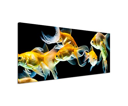 Bild 120x40cm Tierbilder – Elegante Goldfische von Unique