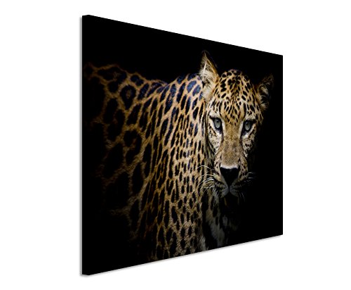 Fotoleinwand 120x80cm Tierbilder – Leopard mit grünen Augen von Unique