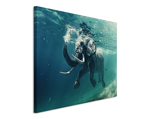 Unique Fotoleinwand 120x80cm Tierbilder – Schwimmender Elefant unter Wasser von Unique