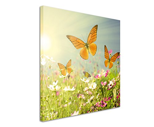 Leinwandbilder quadratisch 60x60cm Landschaftsfotografie – Schmetterlinge auf sonniger Sommerwiese von Unique