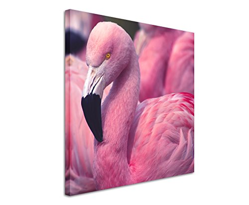 Leinwandbilder quadratisch 60x60cm Tierbilder – Pinker Flamingo in der Gruppe von Unique