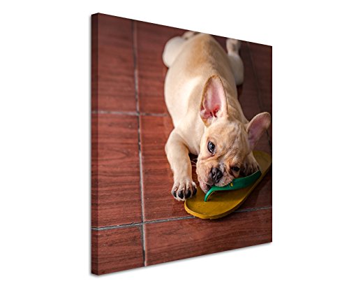 Leinwandbilder quadratisch 60x60cm Tierbilder – Süße Französische Bulldogge mit Flip Flop von Unique