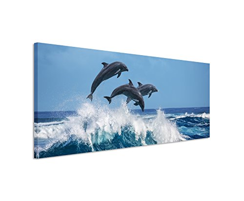 Unique Bild 120x40cm Tierbilder – DREI springende Delfine über Einer Meereswelle von Unique