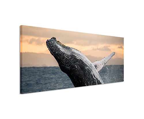 Unique Bild 120x40cm Tierbilder – Springender Buckelwal im Meer von Unique